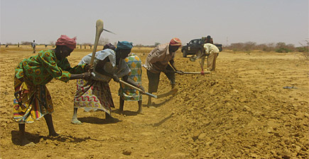 La situation en matière de sécurité alimentaire au Niger