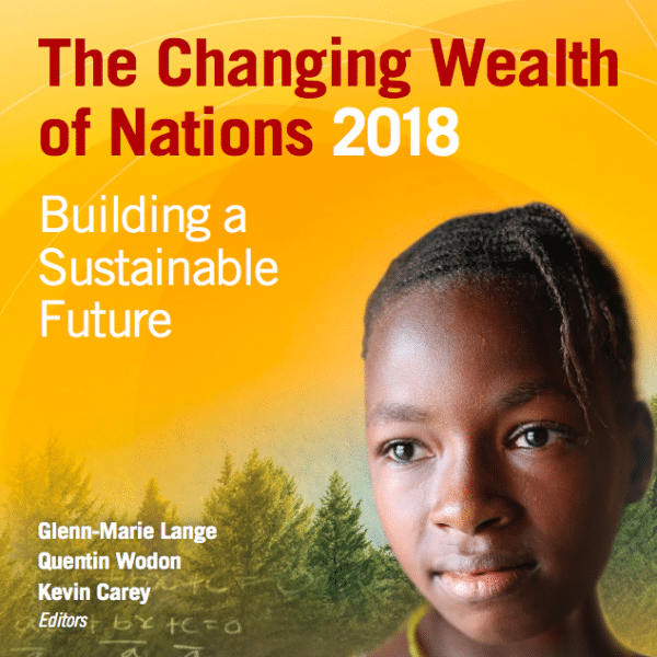 The Changing Wealth of Nations 2018 – Building a Sustainable Future, World Bank Group