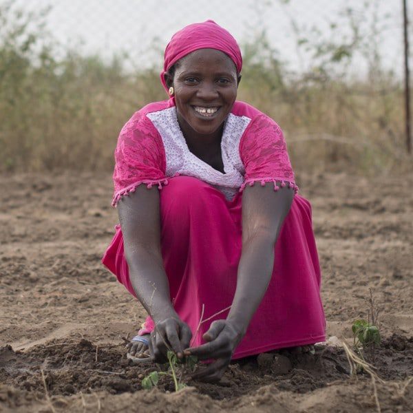Engager le Sénégal dans une transition agroécologique – Birame Faye