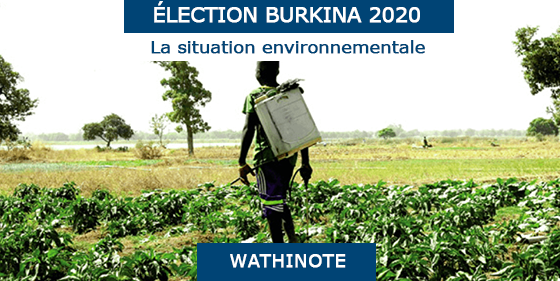 L’environnement propice aux entreprises durables au Burkina Faso, EESE, CNPB, BIT