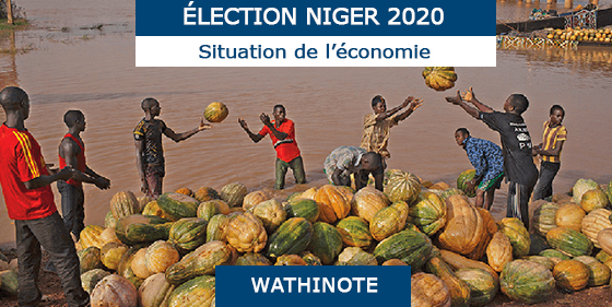 Agriculture et conditions de vie des ménages au Niger, INS-NIGER