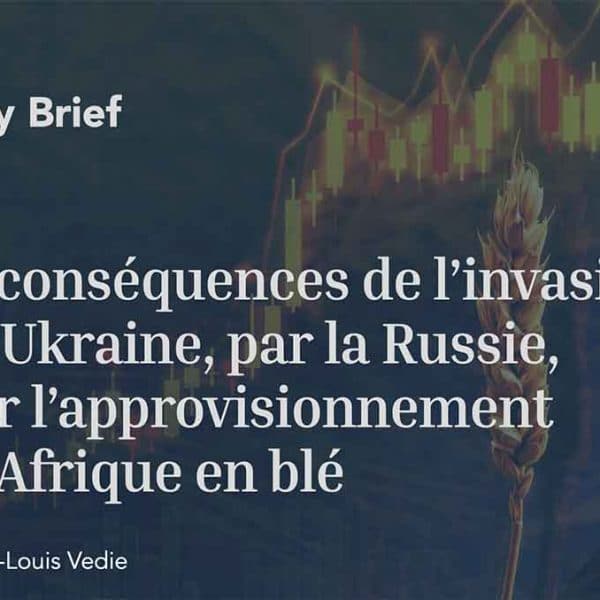 Les conséquences de l’invasion de l’Ukraine par la Russie pour l’approvisionnement de l’Afrique en blé, Policy Center for the New South, 2022