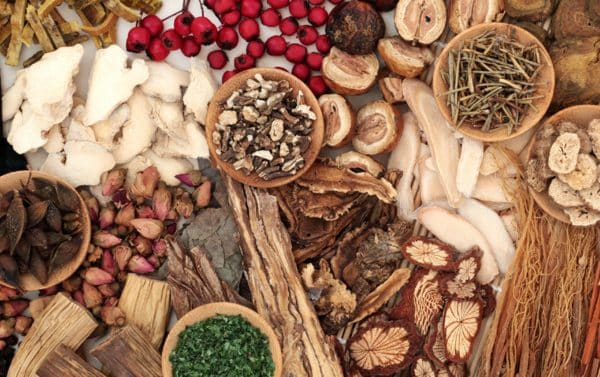 “Les produits de la médecine traditionnelle demeurent la principale source de soins de santé pour la grande majorité de la population…”  Dr. Erick Gbodossou