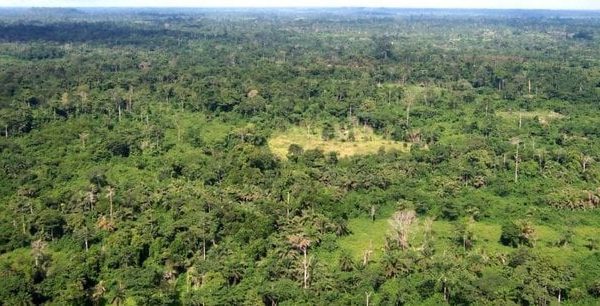 La situation environnementale