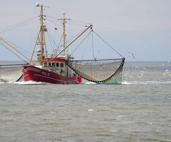 Le Fishery Improvement Project (FIP), une initiative pour le développement d’une pêche durable en Mauritanie