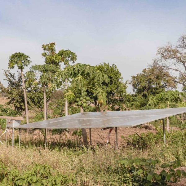 La situation environnementale